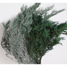 永生花扁柏乾燥花材 聖誕DIY花環裝飾 雪花松枝插花素材 100公克, 雪花色