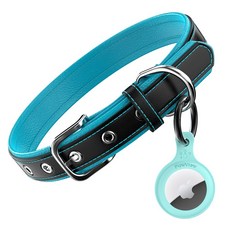 포뷰 튼튼한 소가죽 강아지 목줄 + 에어태그 게이스, 1세트, 블루+그린