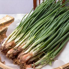 국내산 알싸함이 살아있는 싱싱한 쪽파, 1kg, 1개