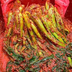 농가살리기 전라도 여수돌산갓김치, 1박스, 1kg