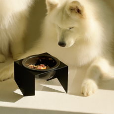 강아지 식기 받침대 반려동물 밥그릇 스탠드 고양이 물그릇 거치대 국산 스틸, 1개, 매트 블랙 (8301.P86-2)