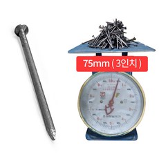 소량 철못 500g 일반못 대못 쇠못 나무못 75mm 3인치