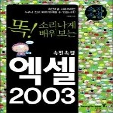[개똥이네][중고-상] 속전속결 엑셀 2003