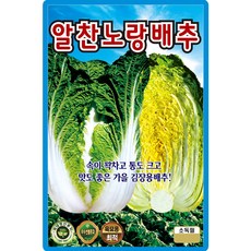 산들마켓 알찬노랑배추 씨앗 500립 가을 김장배추씨 종자, 1개