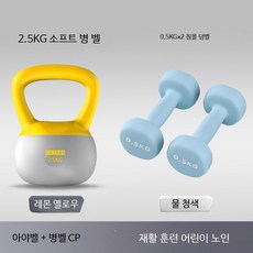 케틀벨 케틀벨스윙 무동력트레드밀렌탈 유산소운동 6kg 10kg 가정용 운동기구, 1개, 2.5kg, E_훈련 CP 소프트 벨 2.5kg+0.5k