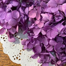 VITO zakka 木繡球永生花DIY乾燥花植物浮游花材花藝材料包拍攝道具DIY創作花材20g, 莓果奶昔(紫噴上微量粉)(現貨)