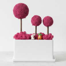 스칸디아모스 3구 개업선물 집들이선물 빅플랜트 화분 식물, 1개, 시클라멘