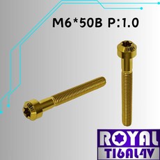 【瘋螺絲】ROYAL 鈦合金螺絲 M6*50B P:1.0 錐形螺絲 出貨附發票, 土豪金, 1個