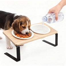 Poxvalzor 고양이 식기 고양이 그릇 고양이 먹이 넣어 식기 스턴트 포함 15도