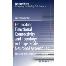Estimating Functional Connectivity and Topology in Large-Scale Neuronal Assemblies: Statistical and ... Hardcover, Springer, English, 9783030590413