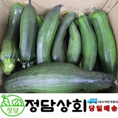 [ 정담상회 ] 주키니호박 쥬키니호박 못난이호박 업소용 C등급 하등급 10kg 내외, 1박스, 10kg내외