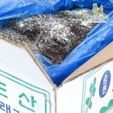베지토피아 100% 국내산 완도 염장 꼬시래기 5kg 10kg, 1개