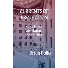 (영문도서)Currents of Protection Paperback, Sandiwa Press, English, 9798232619251