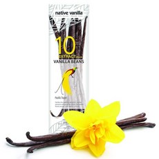Native Vanilla 네이티브 바닐라 - 타히티 빈 추출용 10개 길이 11-14cm, 57g