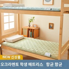 원룸 싱글 매트리스 패드 바닥 순면 수면 메모리폼 경량 간이 편한 자취