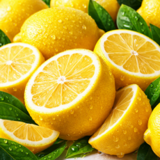 [과즙풍부] 프리미엄 칠레산 레몬, 10개, 중과(120g 내외)