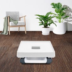 室內方形可移動花盆架現代基本款, 白雪公主