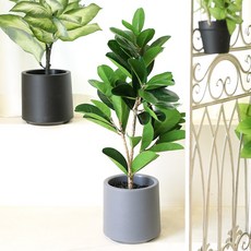 인테리어 조화 나무 화분, 1개, 벤자민고무나무