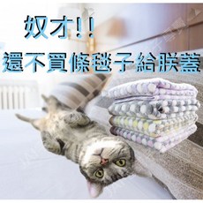 宅鋪子 法蘭絨圓點毛毯, 1個, 粉色圓點,中號