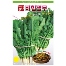 비빔열무 씨앗 20g, 2개