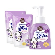 애경 말랑이 버블 핸드워시 블루베리향 용기 300ml+리필 250mlx2개, 3개