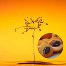 비누 만들기 재료 - 2_10 살구씨오일 100ml, 1개