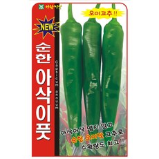 순한 아삭이 풋고추 씨앗 맵지않은 순한 오이고추씨 50립, 1개
