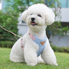 투엘 강아지 하네스 +리드줄, 블루, 1개