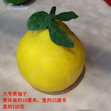 台灣出貨 仿真柚子水果模型橙子西柚拍攝仿真果蔬模型攝影擺設擺件道具裝飾, 大號柚子黃色, 1個