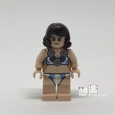 ［想樂］『樂宜樂』LeYiLeBrick LOL673 足球啦啦隊 阿根廷 拼砌積木, 1個