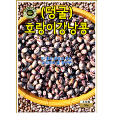 KS종묘 호랑이덩굴강낭콩 씨앗 30g 줄강낭콩 재래종 종자 ks, 1개
