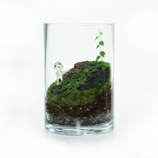 테라리움 키트 DIY 제주 숲 테라리움 A TYPE, 1개
