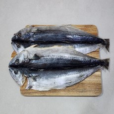 자연산 삼치 1미