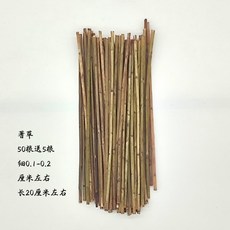 維尼好物 算子李 蓍草籌策50支 附贈5支 直徑約0.1-0.2公分 長度約20公分, 1個, 2毫米20厘米