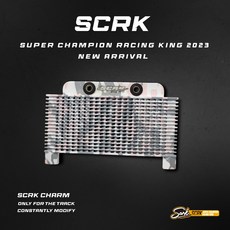 SCRK 油冷排組 降溫散熱 迷彩皺紋 勁戰/JETS/雷霆/雷霆S 機車改裝, 1個, 雷霆S,黑迷彩