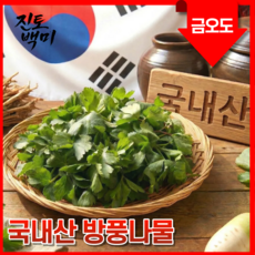 [진토백미] 국산 방풍나물 금오도 노지 2026햇재배 농가직송 최상급품질, 1박스, 1kg