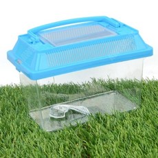 어썸만물상 채집통 소형 사슴벌레장수풍뎅이