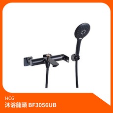 HCG 和成 沐浴龍頭 BF3056UB 霧黑淋浴組, 1個