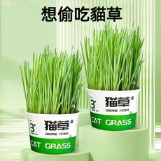 天然貓草，舒緩情緒，促進消化，口腔清潔，無添加，貓咪零食, 1個