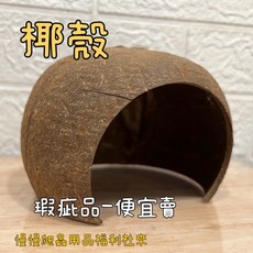 慢慢爬 椰殼躲避洞 爬蟲 陸龜 蜥蜴 守宮 角蛙 適用, 1個, 瑕疵品便宜賣-大椰殼, 瑕疵品便宜賣-大椰殼