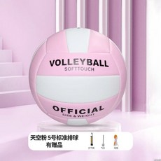專用訓練排球 軟排球 國小排球 國中, 1個