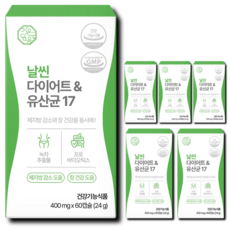 날씬 다이어트 유산균 17 체지방 감소 장 건강 배변활동 원활 식약청 인증, 6개, 60정