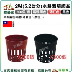 綠藝家 2吋(5.2公分)水耕栽培網盆 300個, 黑色, 1個