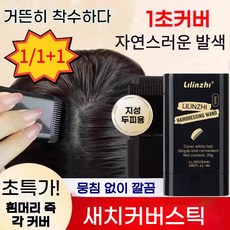 흰머리 새치 커버 스틱 헤어틴트 간편 새치 염색약 오래가는 헤어컬러 지성 두피용, 1개, 블랙