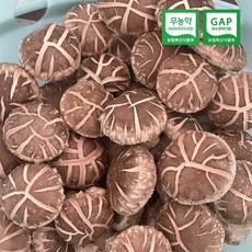 무농약 자연산 송이향 생표고버섯 [원산지:국산(충청남도 청양군)], 1통, 실속형, 1kg