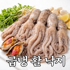 [오늘출발] 급냉 활 낙지 6미, 1개, 12미 (1.8kg / 2팩)
