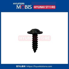 현대모비스 기아 순정 스크류 태핑 19mm / 1249205163 / 피스 볼트 나사 / 순정 부품, 호환 차종, 10개