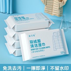 【台灣快速出貨】加厚清潔巾12入 羽絨衣專用 衣服擦拭巾 去汙清潔濕巾 外套清潔, 1個, 羽絨衣清潔濕巾 一入