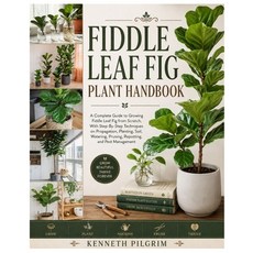(英文圖書)Fiddle Leaf Fig Plant Handbook: A Complete Guide to Growing Fiddle Leaf Fig from... 平裝版, Independently Published, 英文