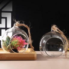 테라리움 투명볼 투명유리공화분, 8cm